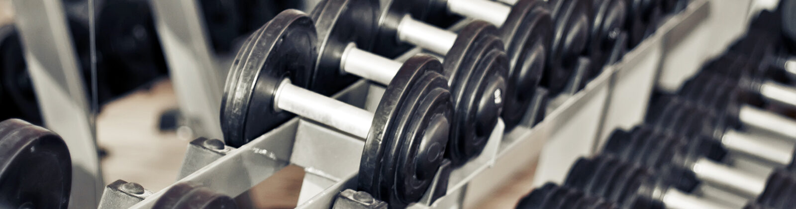 Dumbbells on a rack in a gym
